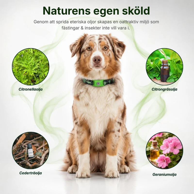 FurLife™ - Naturligt Kydd Utan Kemikalier i Blodet