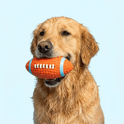 Djurparadiset™ Splashboll